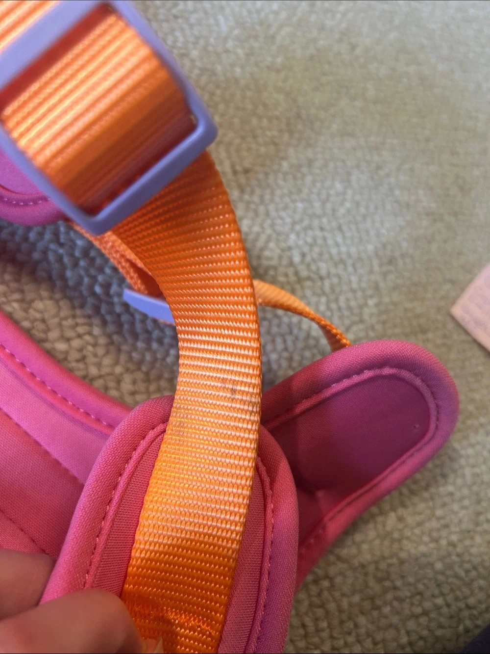 LIMITED EDITION Cosmopolitan Wild one harness